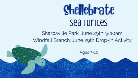 Shellebrate Sea Turtles at Windfall Branch