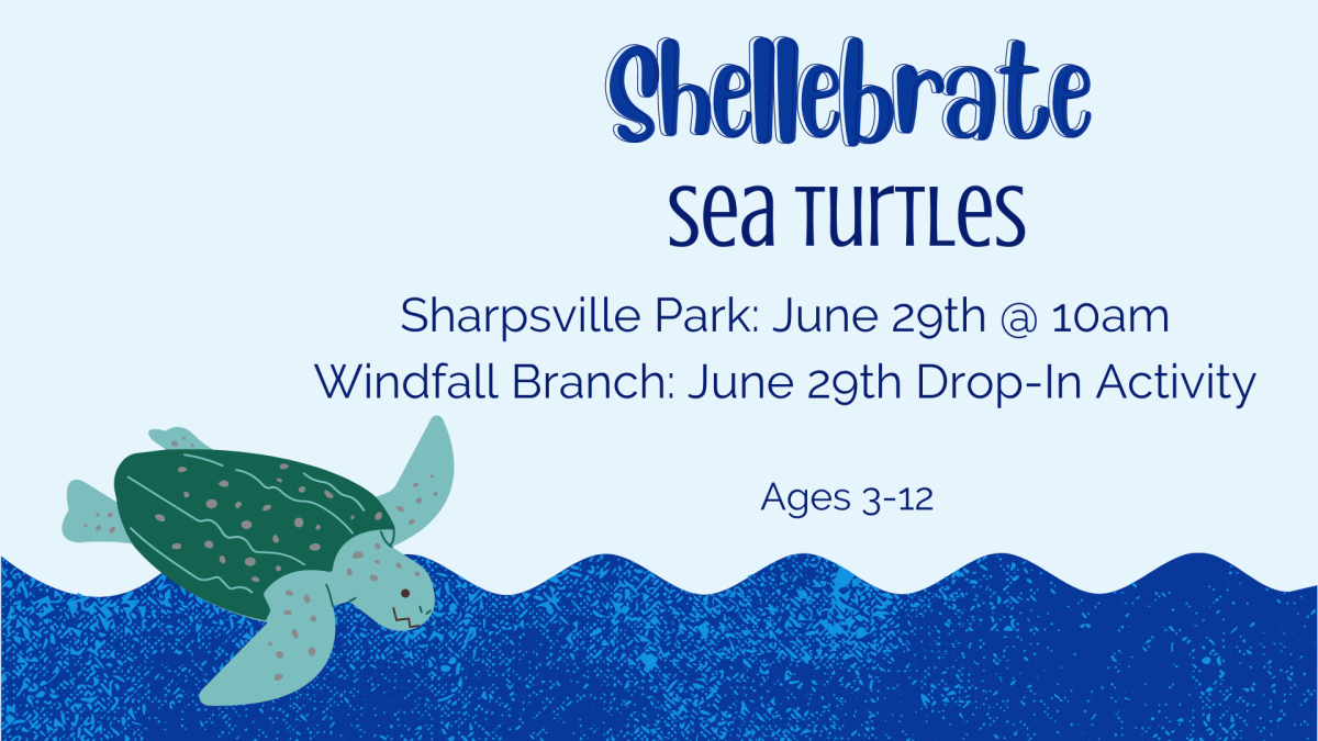 Shellebrate Sea Turtles at Sharpsville Park